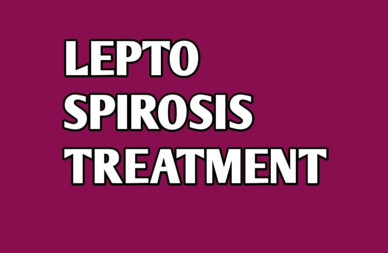 Leptospirosis in humans