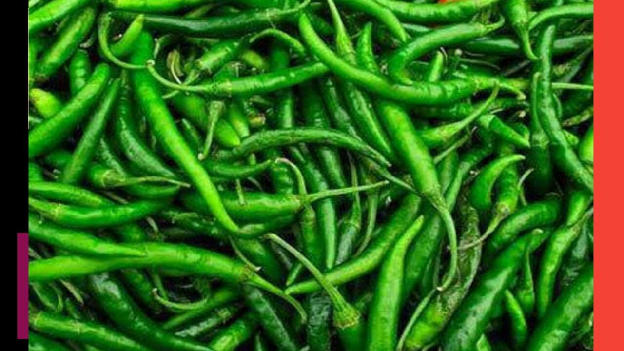 Benefits of green chilli